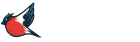 Народный фронт